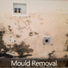 Edmonton Mould Removal Service Max Pro Restorations